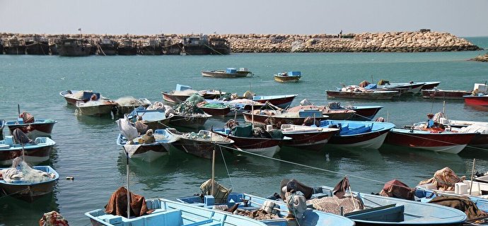 سرشماری قایق های بی‌هویت در بنادر صیادی تنگستان و دشتی