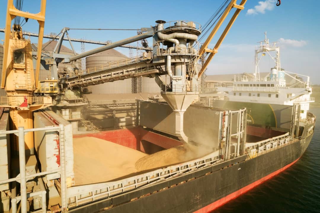 خسارت ۶ میلیارد دلاری به صادرات غلات اوکراین با مسدود شدن بنادر