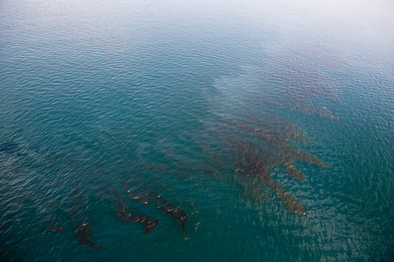رفع آلاینده و جلوگیری از آلودگی خلیج‌فارس در اولویت قرار دارد