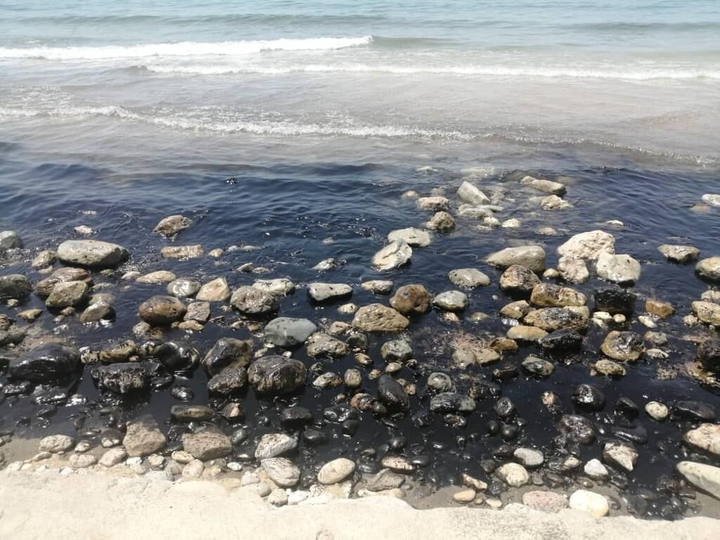 سواحل سیراف در کنگان از لکه‌های نفتی پاکسازی شد