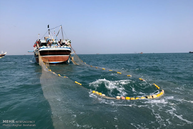 مشکل کشتی‌های صید صنعتی استان بوشهر برطرف شد