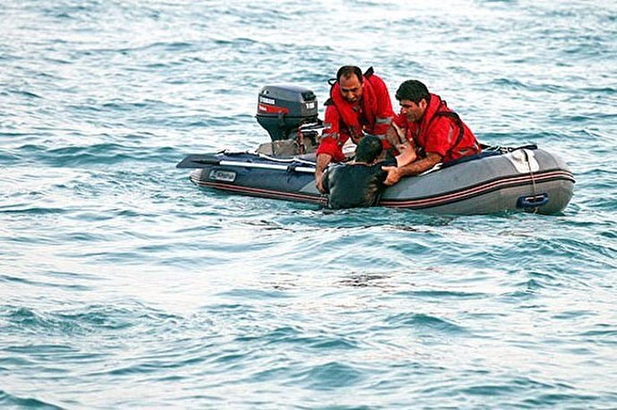 نجات ۲۵۵ حادثه دیده در عملیات‌های جستجو و نجات دریایی