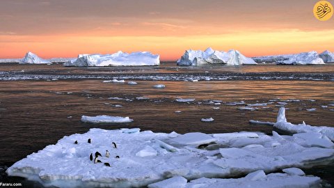 (تصاویر) یخ دریا در قطب جنوب به پایین‌ترین سطح رسید