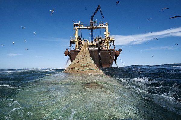 مجلس اجازه راه‌اندازی مجدد صید ترال صنعتی را نمی‌دهد