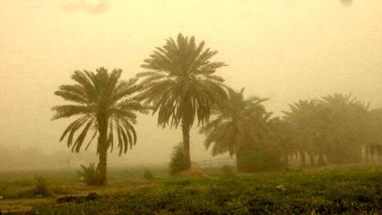 هوای شهر بندری ماهشهر همچنان در وضعیت قرمز قرار دارد/ شهروندان تردد‌های درون شهری را کاهش دهند