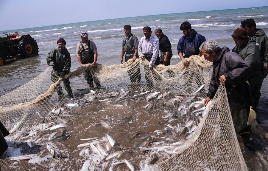 توقف ۶ روزه صید میگو برای ۲۲۰۰ لنج و قایق صیادی در آب های استان بوشهر