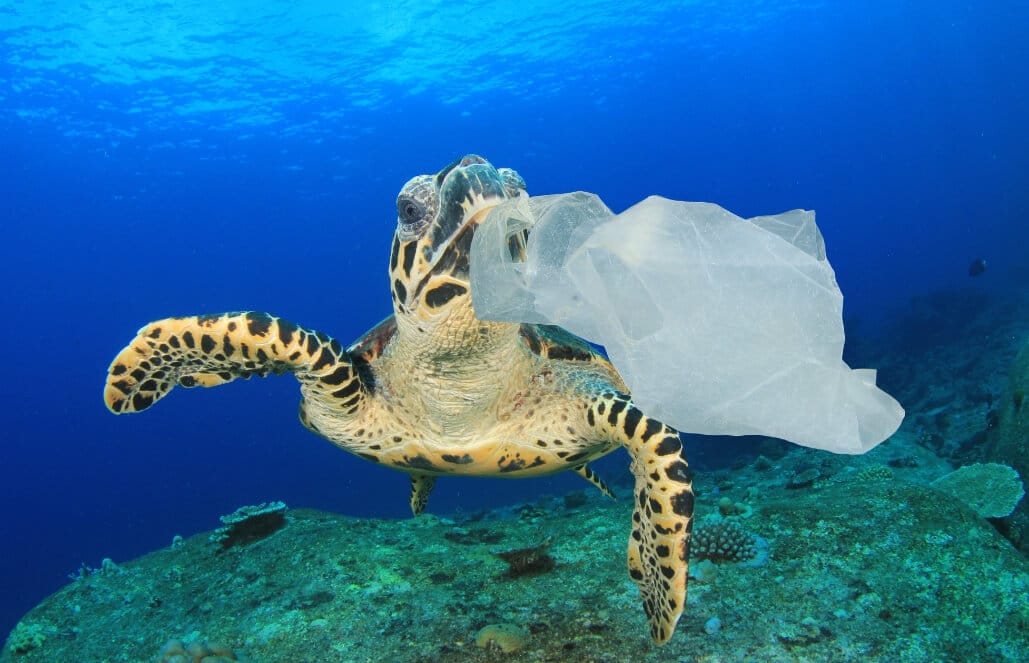 سامانه پایش و کنترل آلودگی‌های خلیج فارس راه اندازی می‌شود/ اجرای طرح بزرگ پاکسازی پلاستیک در سواحل خزر