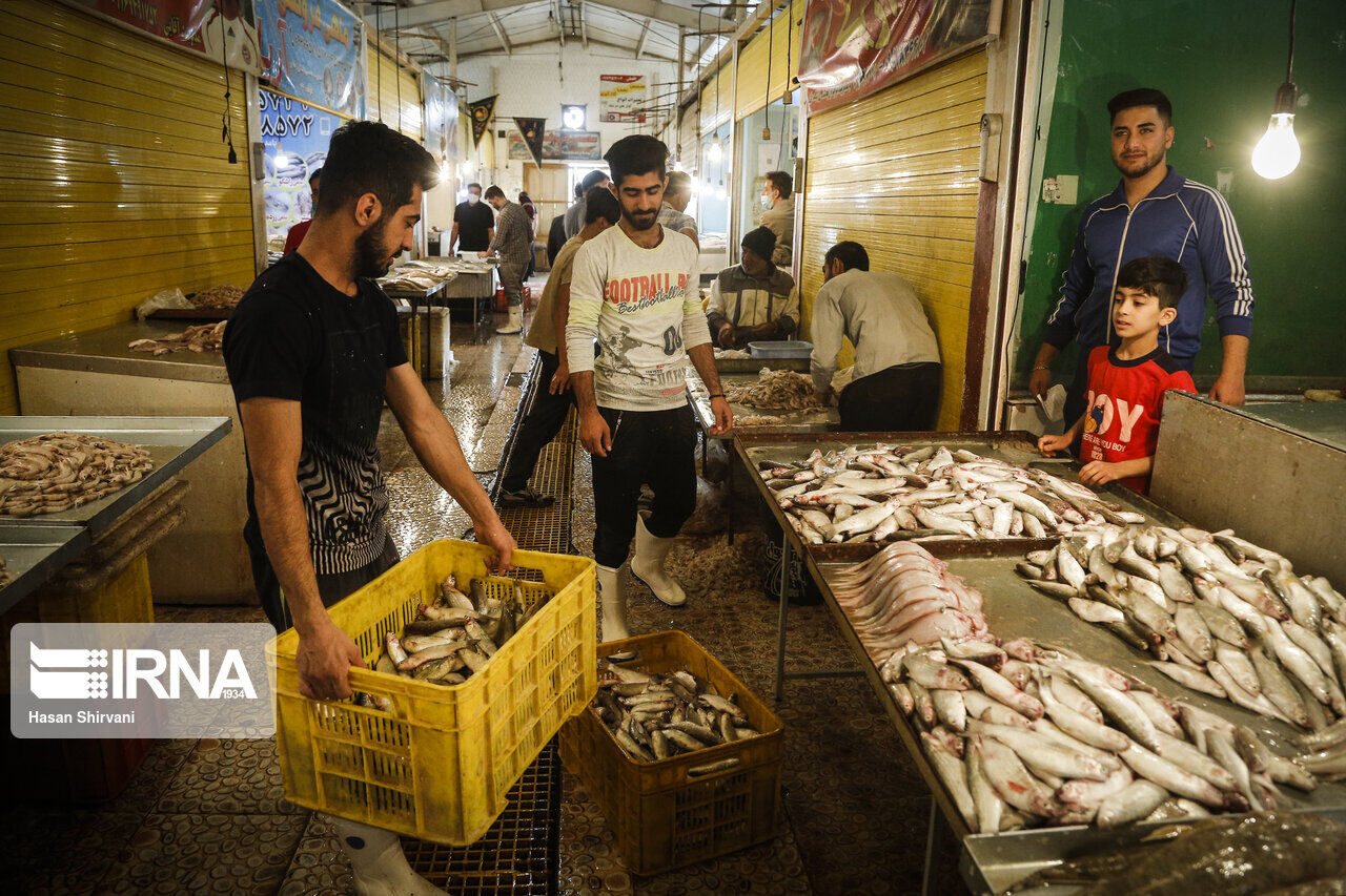صید ماهی شوریده در صیدگاه‌های خوزستان ممنوع شد