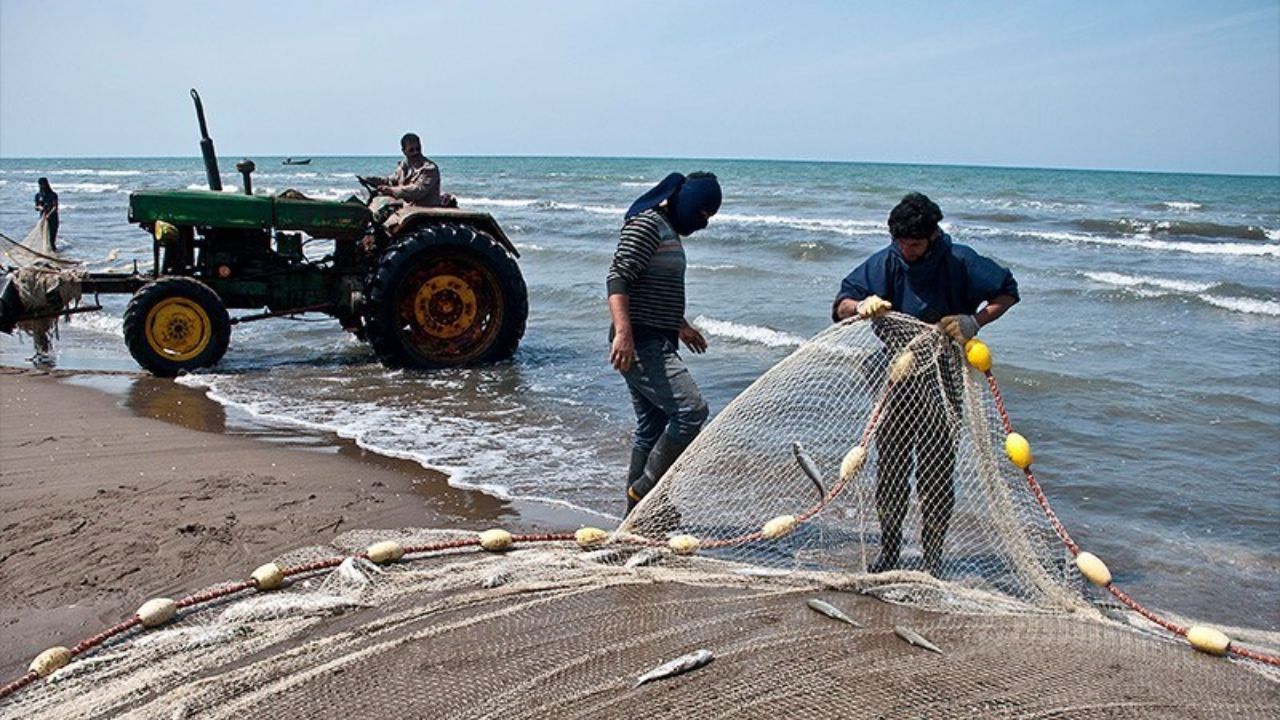 صید غیرمجاز؛ عامل اصلی کاهش صید در دریای خزر / عدم تاثیر کرونا در صید ماهیان دریای خزر