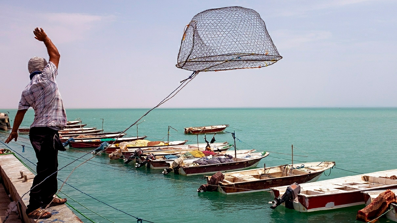 کشف ۲۵۰ کیلوگرم صید غیر مجاز در نوار ساحلی بوشهر