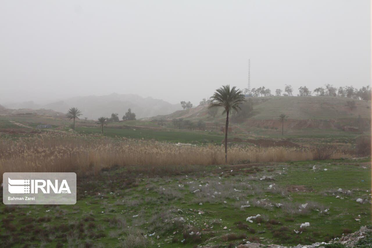 هواشناسی :هوای استان بوشهر تا روز پنجشنبه گرد و غباری است