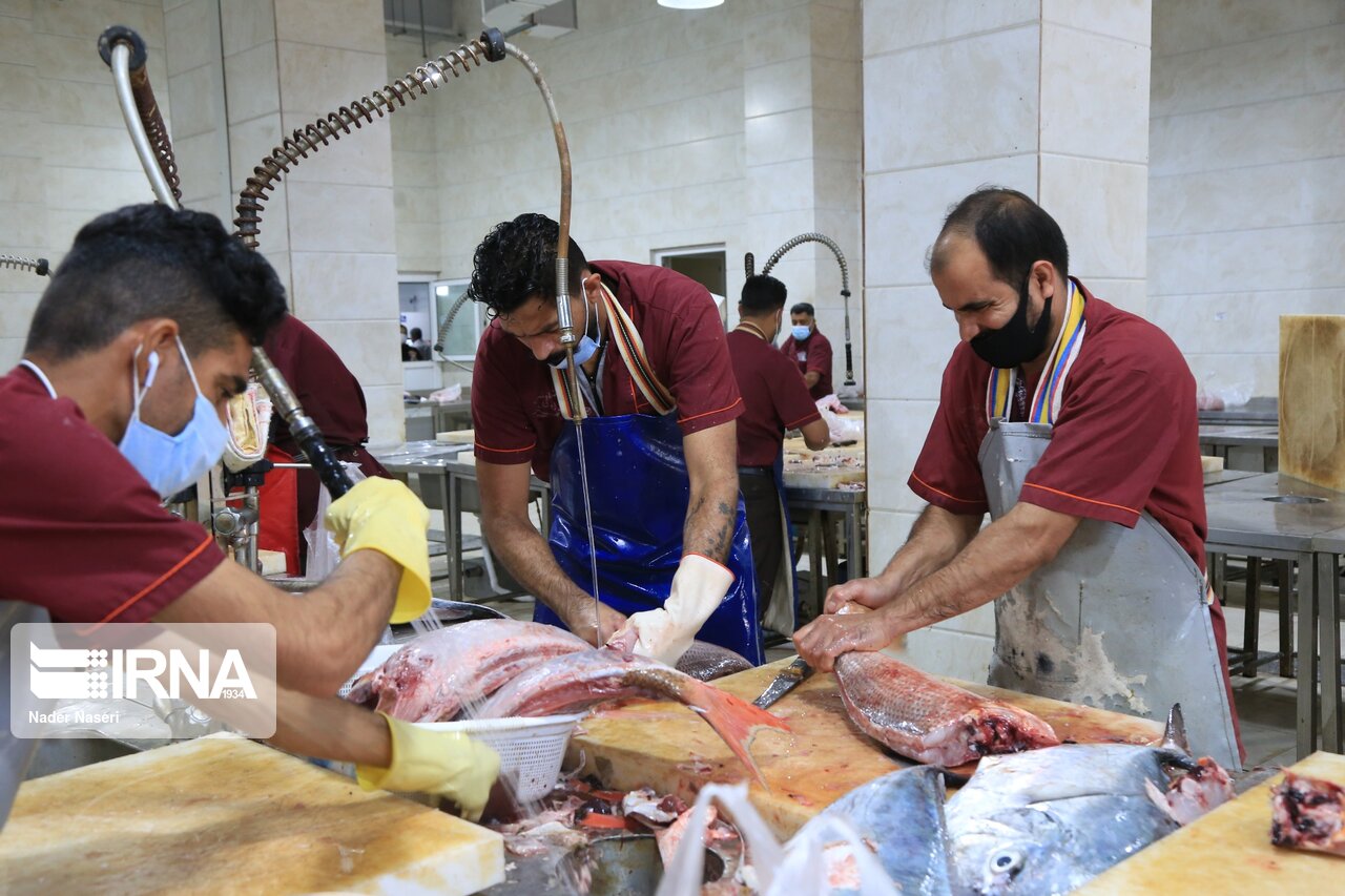 رونق فروش ماهی در بازار ماهی فروشان بندرعباس