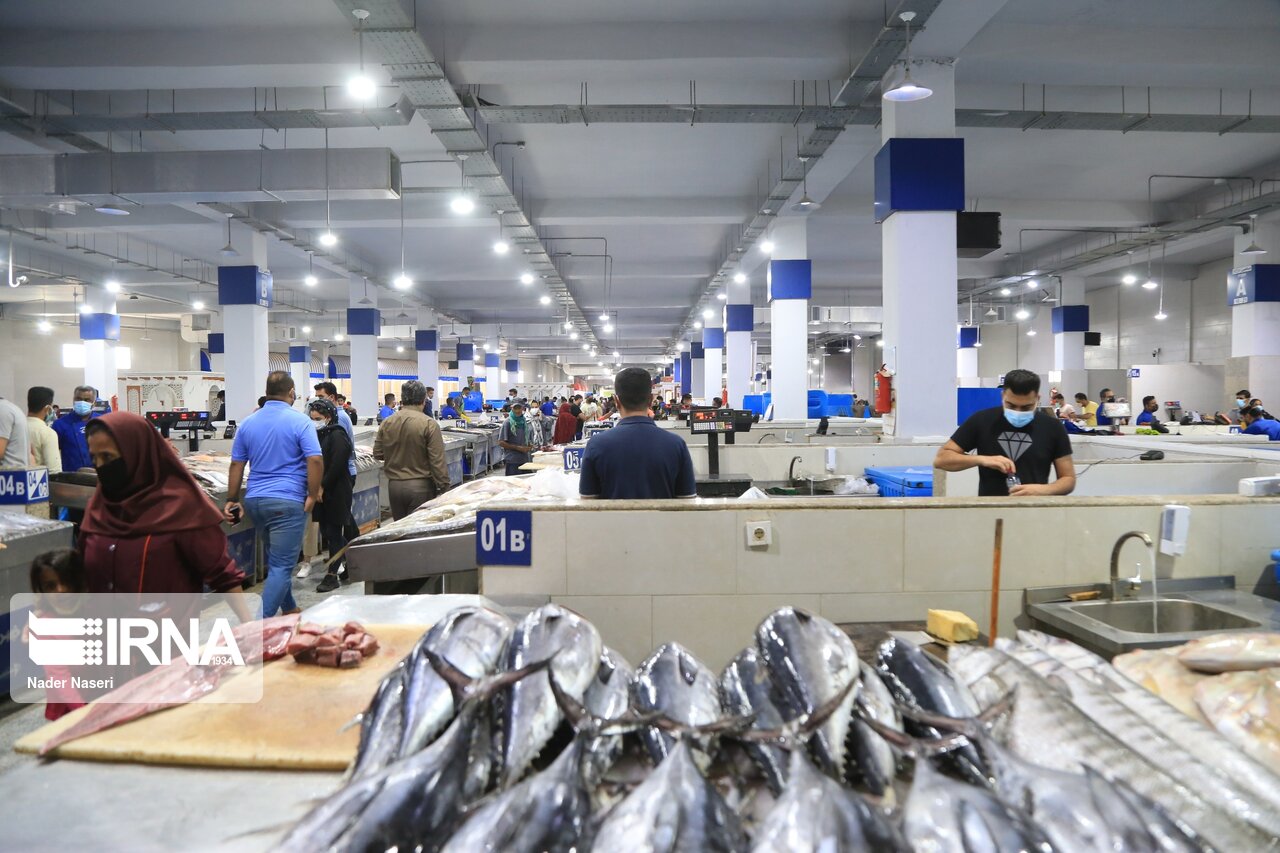 فیلم فروش انواع ماهی در بازار ساحلی بندرعباس