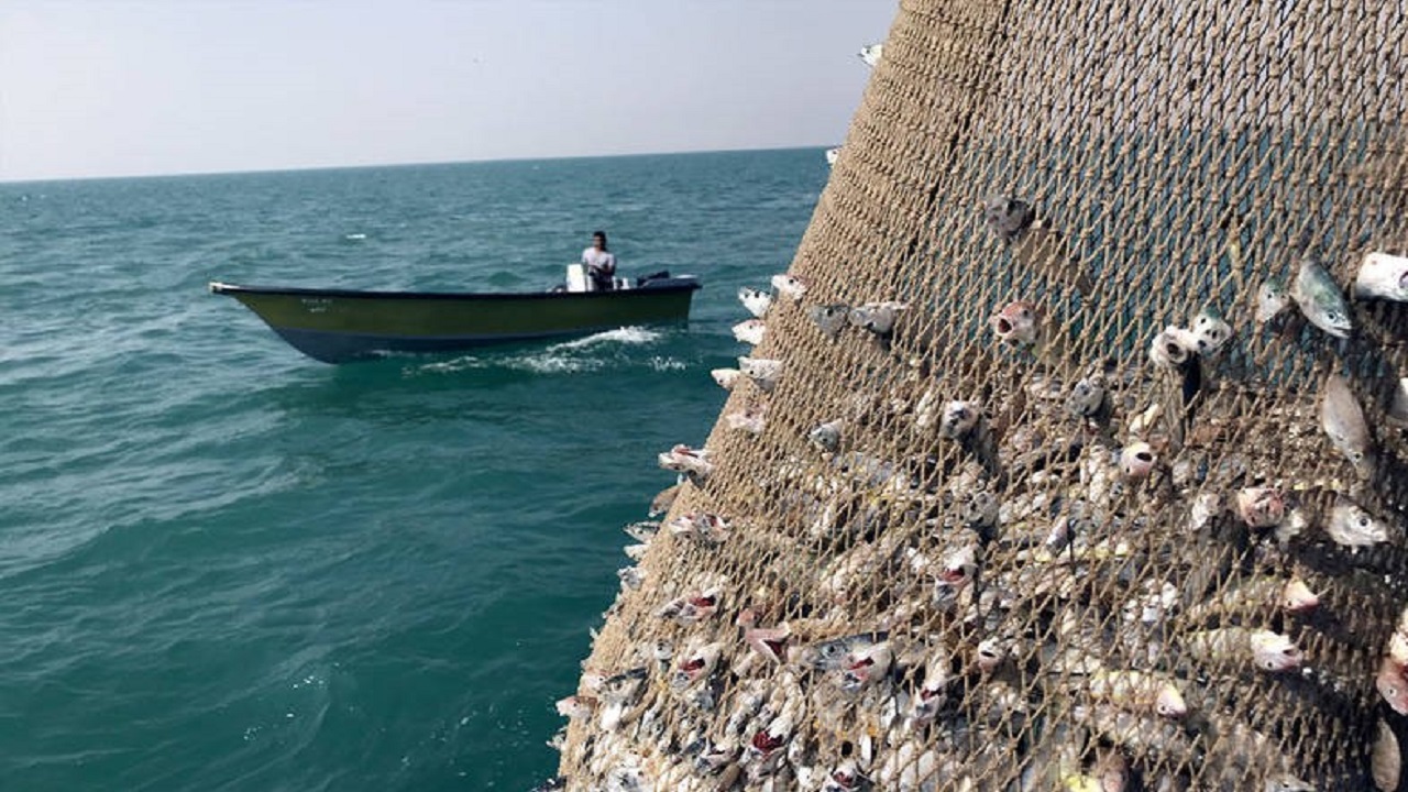 فعالیت ۴۰ هزار صیاد در بنادر و مناطق ساحلی خوزستان/مجوز جدید صید صادر نمی‌شود