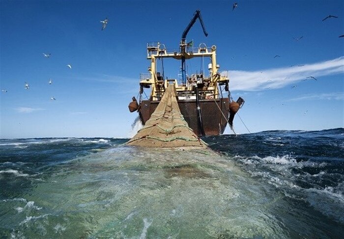 دریابست؛ ضرروتی برای احیای ذخایر آبزیان خلیج فارس