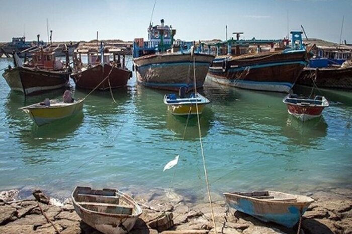 دریابست؛ ضرروتی برای احیای ذخایر آبزیان خلیج فارس