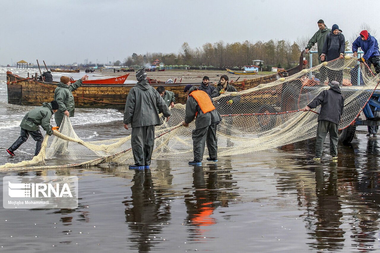 آغاز فصل سخاوت خزر، ماهیگیران گلستانی لبریز از امیدواری به دریا