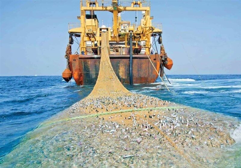 چهارشناور صید ترال در آب‌های بوموسی توقیف شد