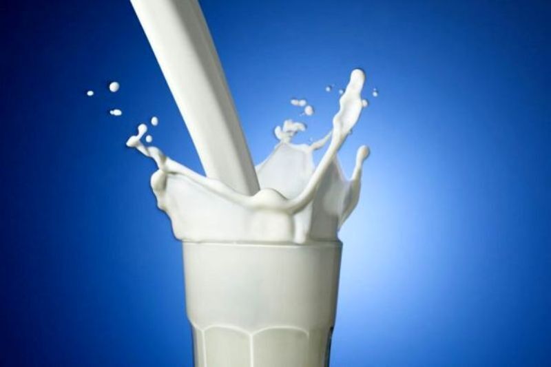 سایه سنگین خشکسالی بر بازار شیر در کهگیلویه و بویراحمد