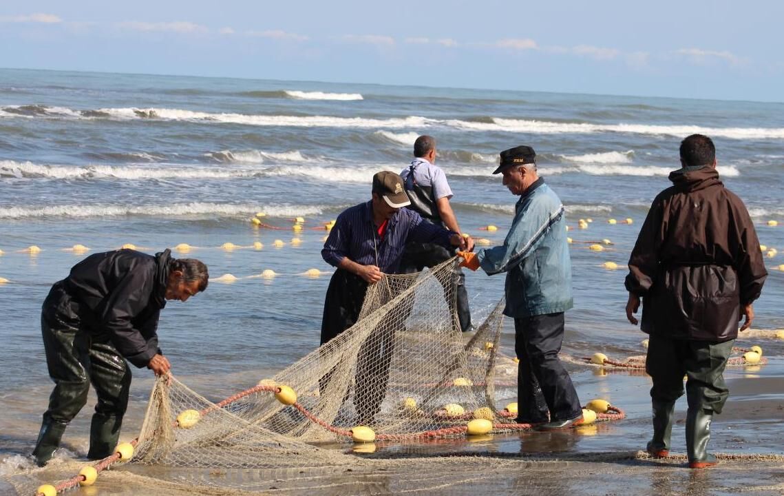 صیادان گیلانی ۲۰۰تن ماهی استخوانی در سواحل بندرکیاشهر صید کردند