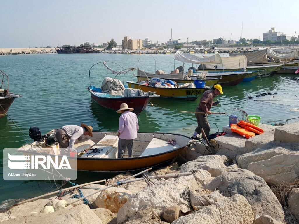 معاون شیلات بوشهر:طرح شمارش قایق های فاقد شناسنامه این استان در حال اجراست