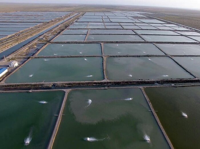 رونق صنعت آبزی‌پروری، اولویت دولت جهادی برای توسعه گلستان