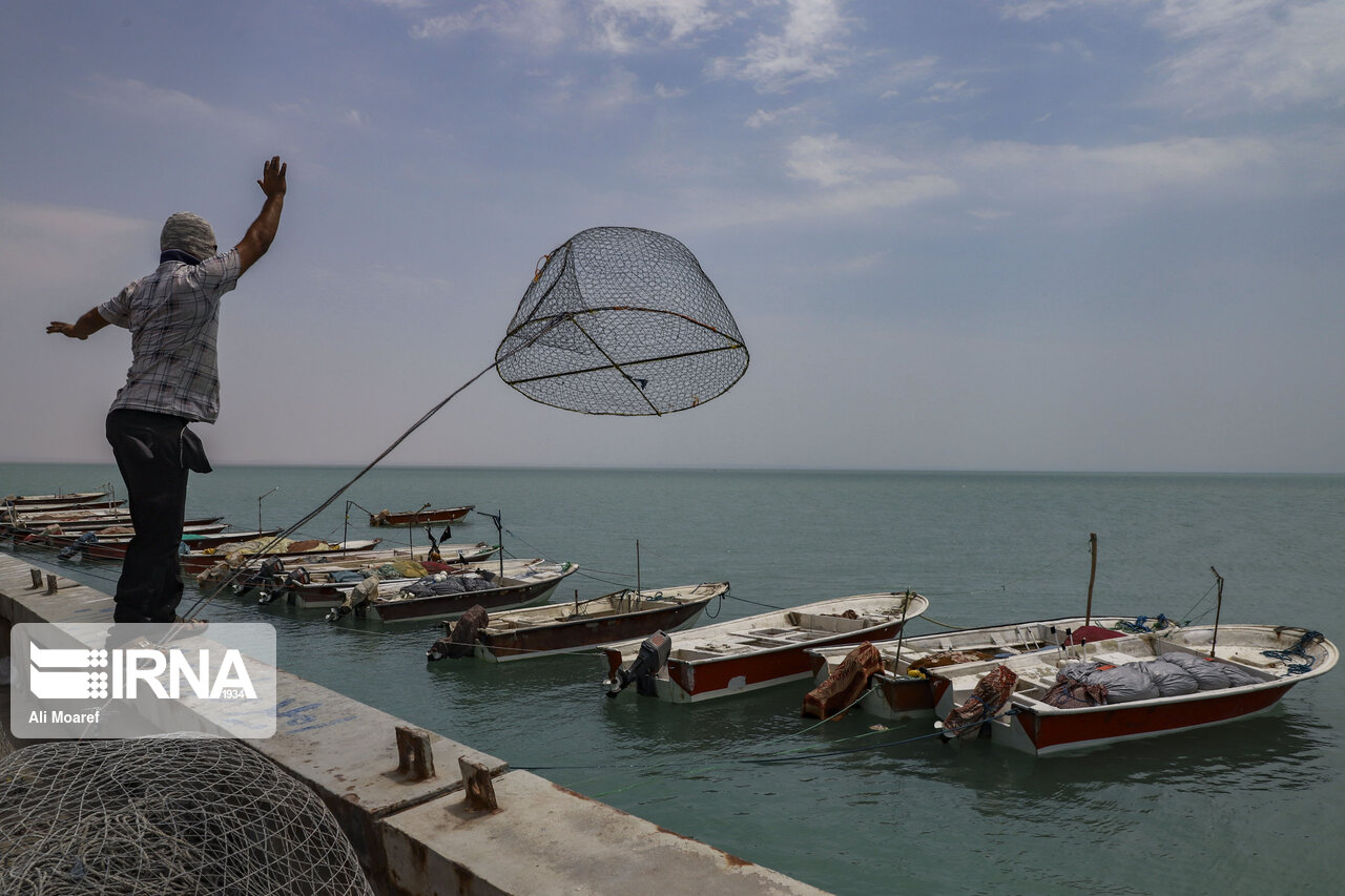 صدور مجوز صید ماهی شوریده در صیدگاه‌های خوزستان ممنوع شد