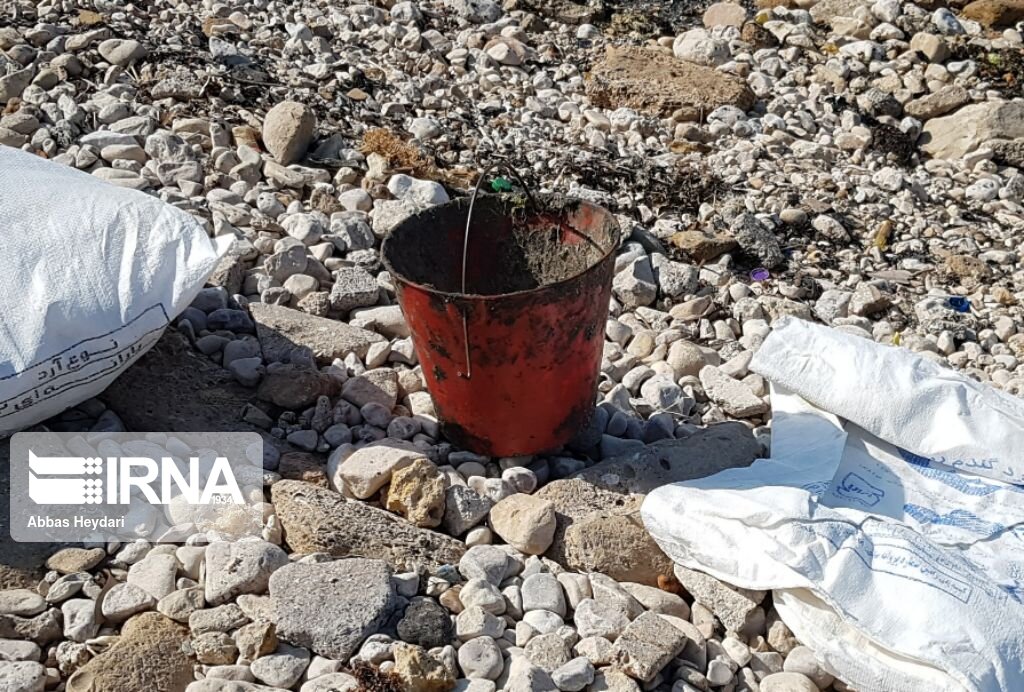 پاک سازی آلودگی نفتی در ساحل بوشهر