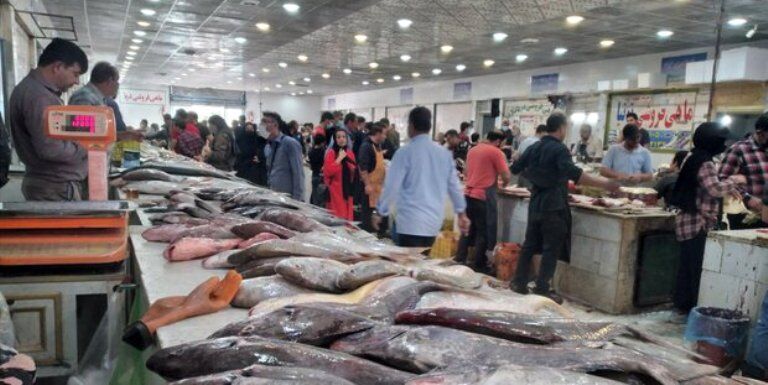 قیمت ماهی در گناوه روند کاهشی گرفت