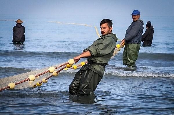 بیش از سه هزار تن ماهی از دریاچه پشت سد ارس صید شد