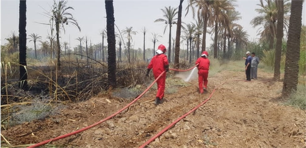 مهار آتش در نخلستان توسط آتش نشانان بنادر و دریانوردی آبادان