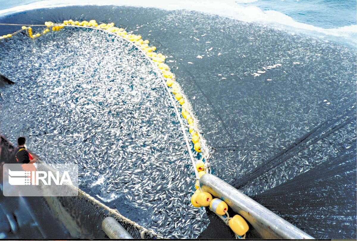 صید ماهی به روش پرساین در آب های قشم تا ۳۱ مرداد ممنوع است