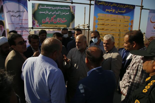 مجوز ۷۶  پروژه پرورش ماهی در قفس در استان بوشهر صادر شد