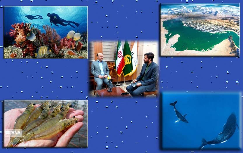 افزون بر ۲ هزار زیستگاه مصنوعی آبزیان در خلیج فارس نصب شد/ دریا میزبان همیشگی صیادان