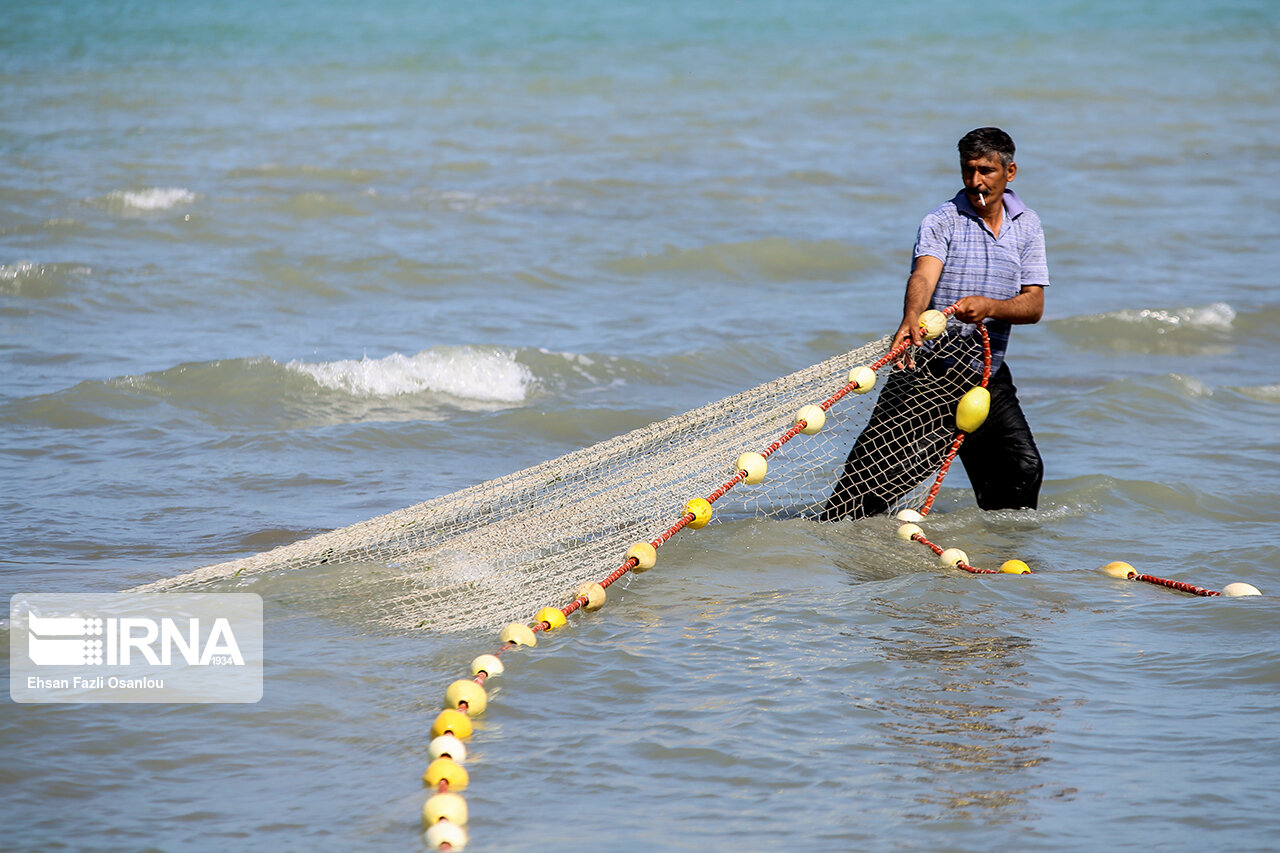 ممنوعیت صید تجاری ماهیان خاویاری خزر تمدید شد