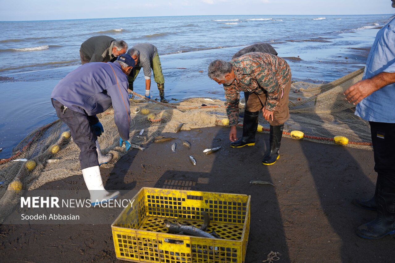 ماهیگیران گلستانی در ۲ ماه گذشته ۶۲ تن ماهی استخوانی صید کردند