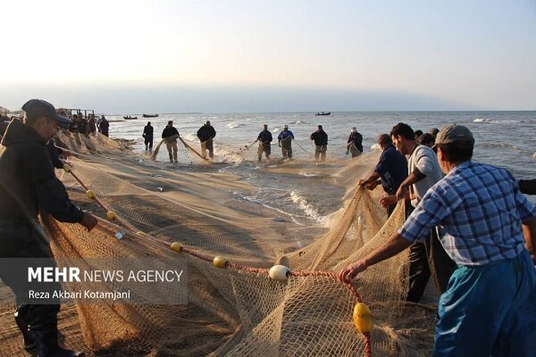 ماهیگیران گلستانی ۱۷۷ تُن ماهی استخوانی از خزر صید کردند