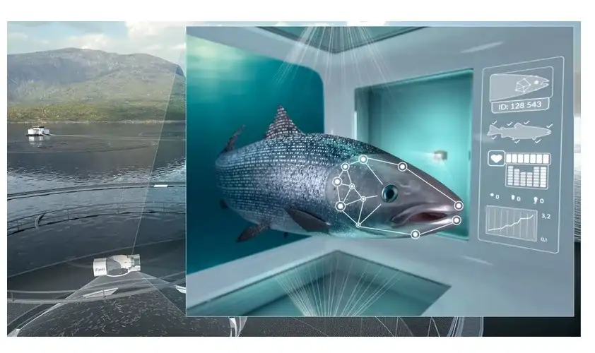 تصویر1- ترسیم ماهی سالمون توسط هوش مصنوعی. آبزی پروری به آهستگی از هوش مصنوعی (AI) برای کمک به پرورش‌دهندگان و سایر بخش‌های تولید استفاده می‌کند.