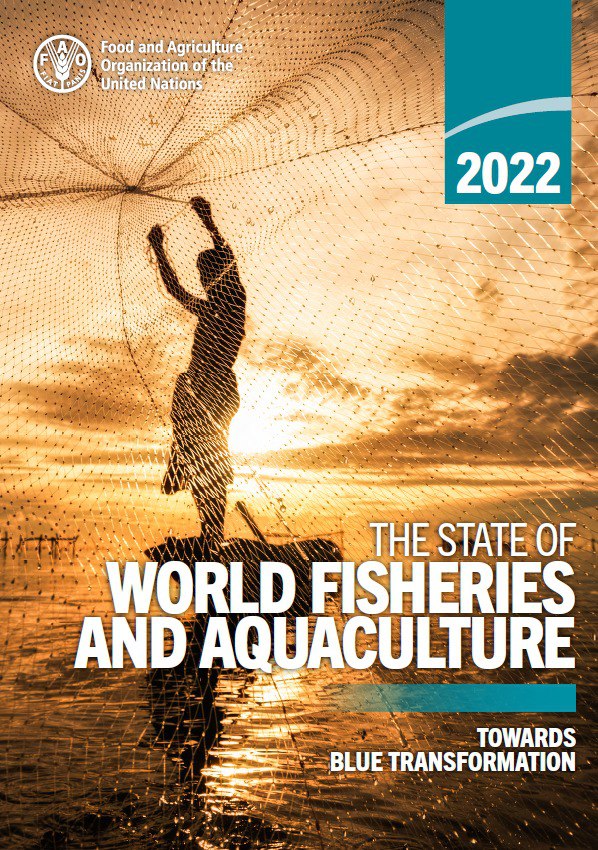 تولیدات صید و آبزی پروری جهان بر اساس آخرین گزارش فائو 2022 (بخش 1)