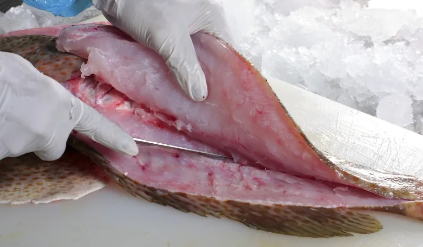 قابل توجه واحدهای فراوری آبزیان: استفاده از دستگاه تخلیه امعاء و احشاء ماهی الزام آور نیست