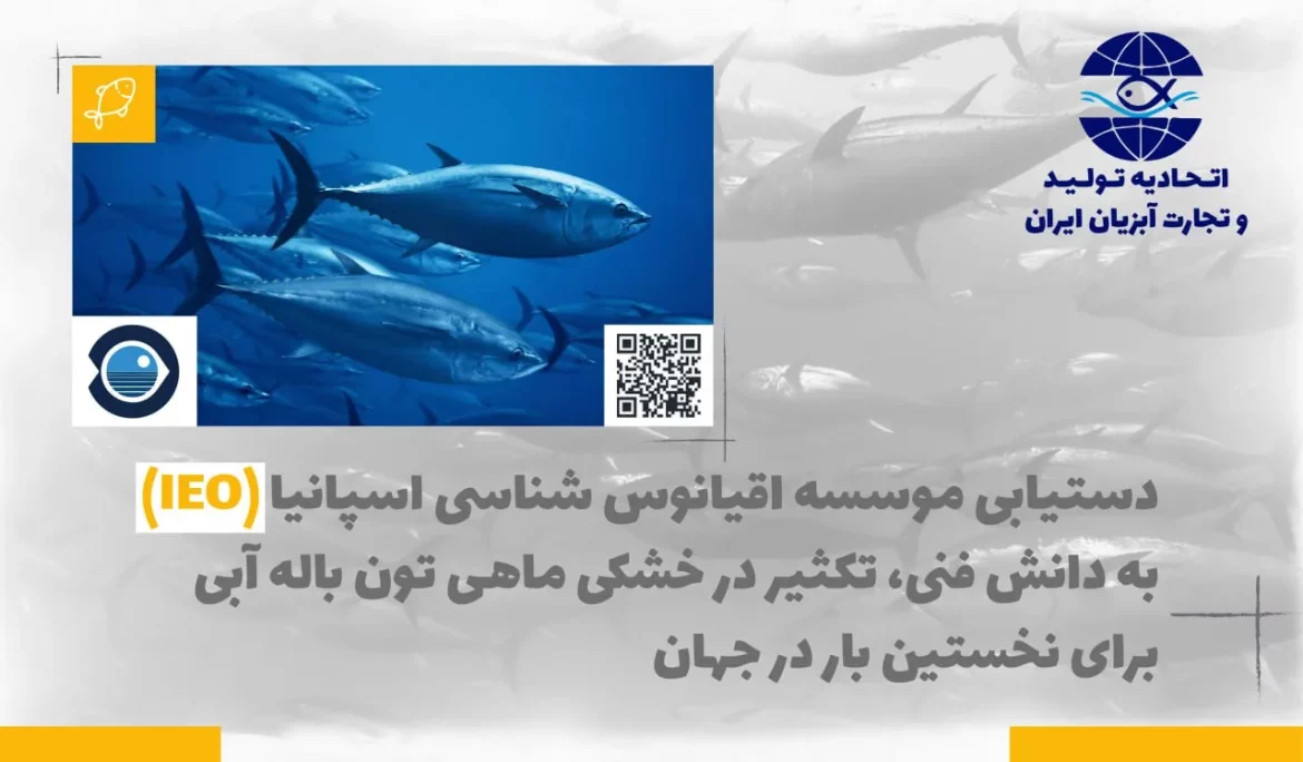دستیابی موسسه اقیانوس شناسی اسپانیا (IEO) به دانش فنی تکثیردر خشکی ماهی تون باله آبی برای نخستین بار درجهان