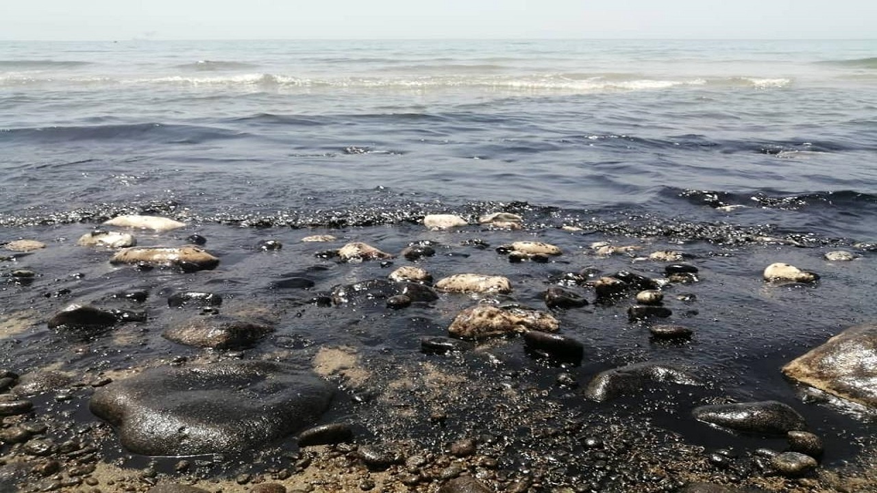 عملیات پاک‌سازی آب‌های گناوه از آلودگی نفتی ادامه دارد