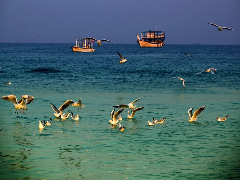 شماره موقت برای شناورهای شخصی و تفریحی در جزیره کیش صادر می‌ شود