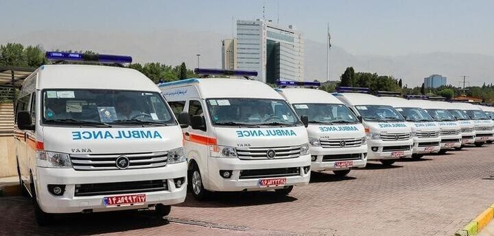 ترخیص ۵۵ دستگاه خودرو امدادی هلال احمر از گمرک بوشهر