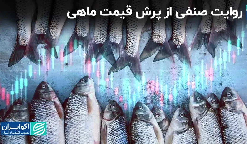 روایت صنفی از پرش قیمت ماهی