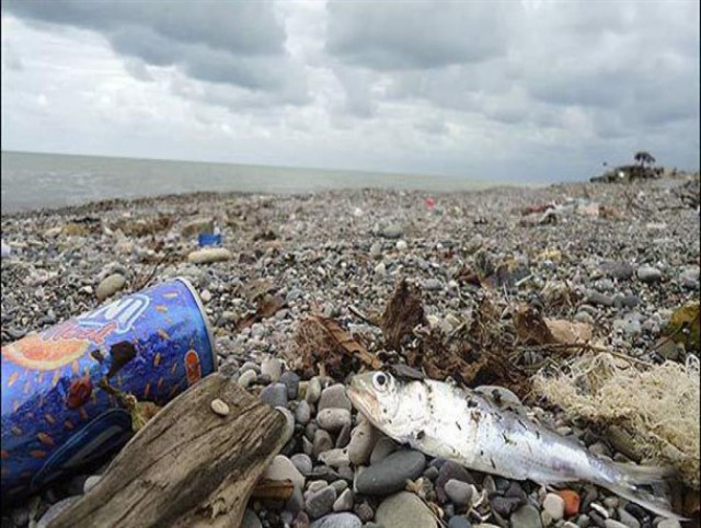 آلودگی پساب های محیط ریست دریایی دریای خزر