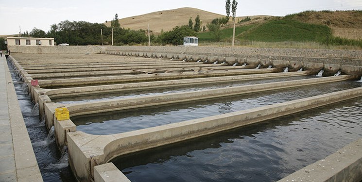 تولید آبزیان در خوزستان افزایش می‌یابد