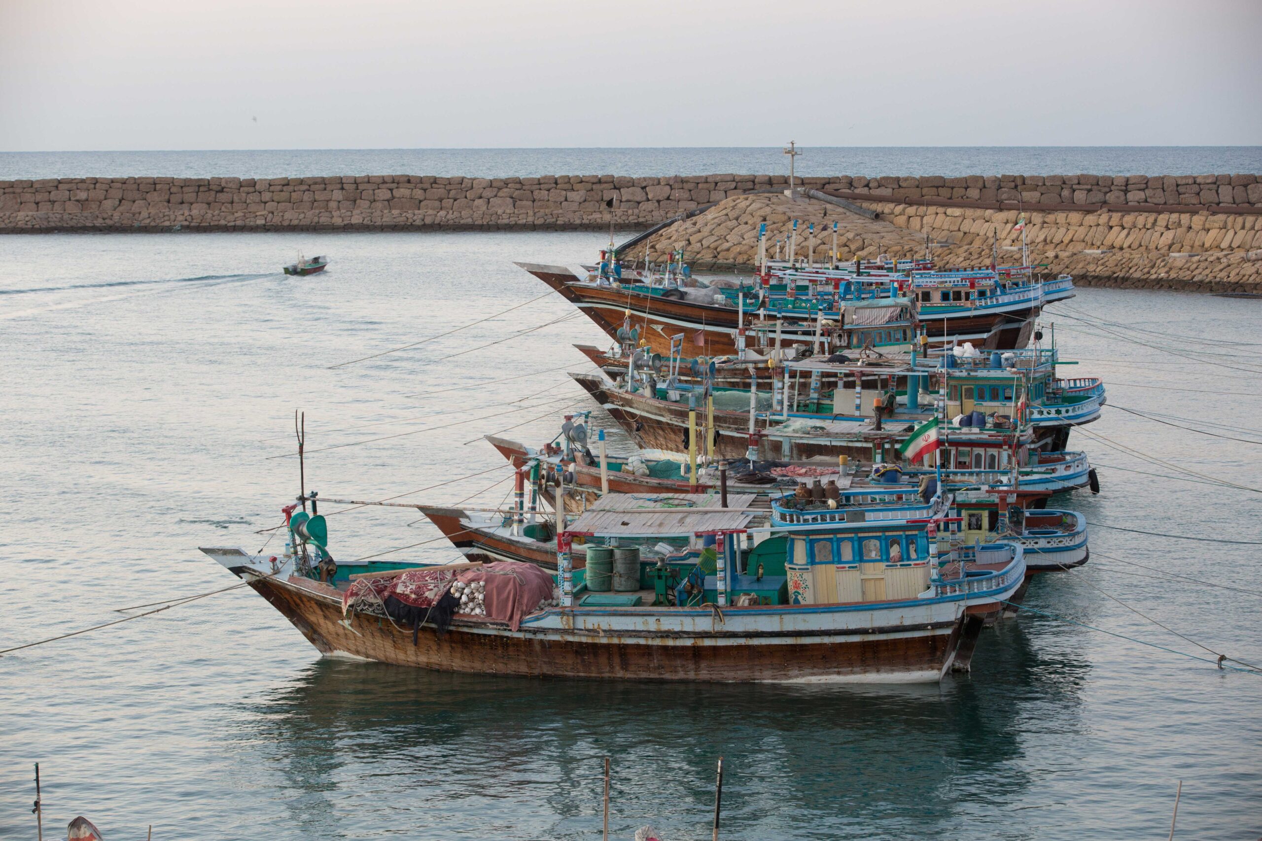 تشکیل کارگروه ساماندهی صید در دریاهای جنوب