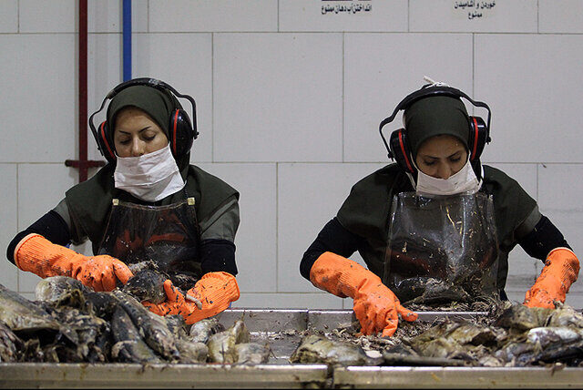 زنان در حال تمیز کردن و بسته بندی ماهی در فروشگاه دریایی
