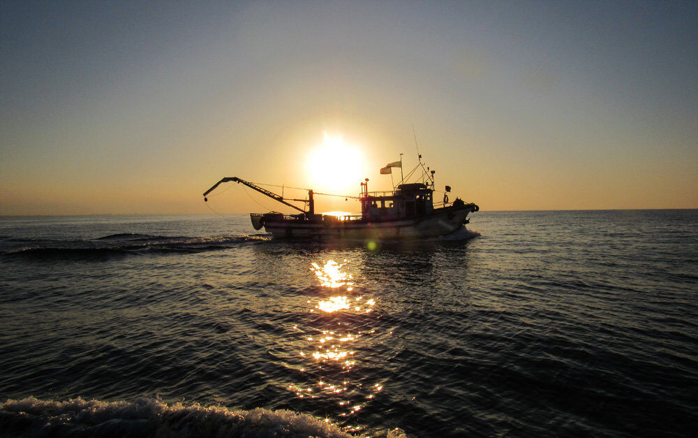 قایق صیادی و ماهیگیری کیلکا